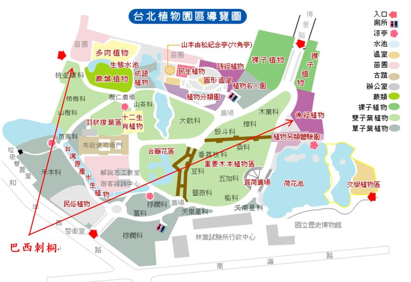 巴西刺桐(新稱)-台北植物園位置圖