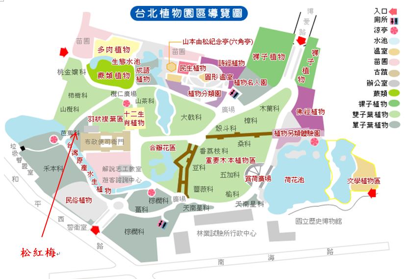 松紅梅-台北植物園位置圖