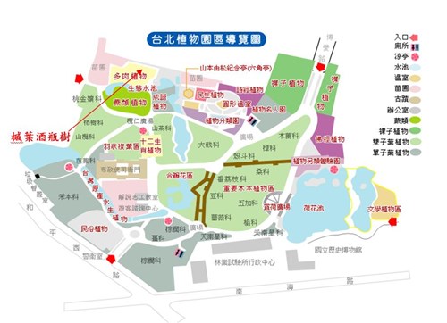 楓葉酒瓶樹(澳洲火焰樹)-台北植物園位置圖