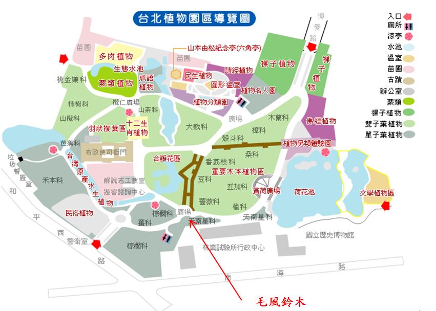 毛風鈴木-台北植物園位置圖