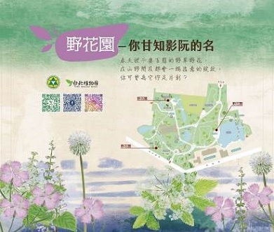 臺北植物園季節限定，專屬臺灣的野草花園_臺北植物園野花園位置