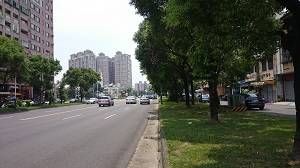 圖2. 行道樹具有減低道路揚塵和機動車輛排放污染之功效