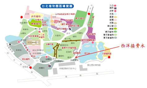 西洋接骨木-台北植物園位置圖