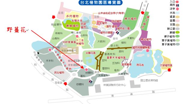 野薑花-台北植物園位置圖