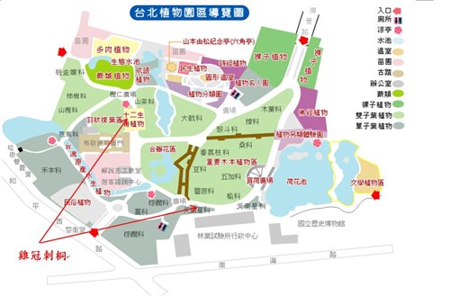 雞冠刺桐-台北植物園位置圖