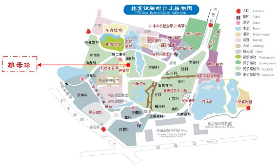 雞母珠於台北植物園位置圖